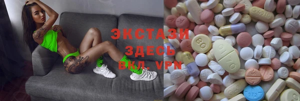 ECSTASY Богданович